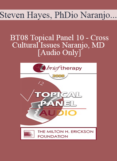 [Audio Only] BT08 Topical Panel 10 - Cross-Cultural Issues - Steven Hayes