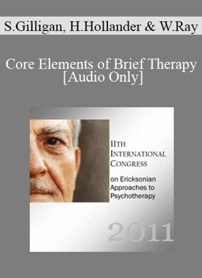 [Audio] IC11 Dialogue 04 - Core Elements of Brief Therapy - Stephen Gilligan