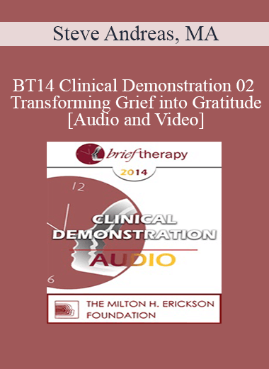 BT14 Clinical Demonstration 02 - Transforming Grief into Gratitude - Steve Andreas