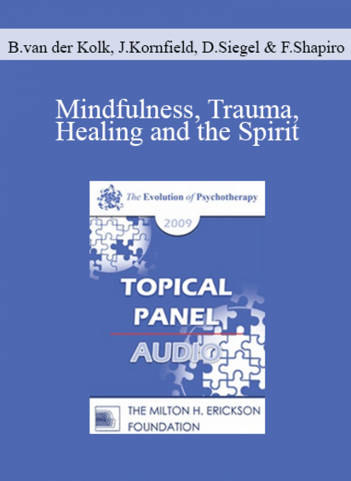 [Audio] EP09 Topical Panel 08 - Mindfulness